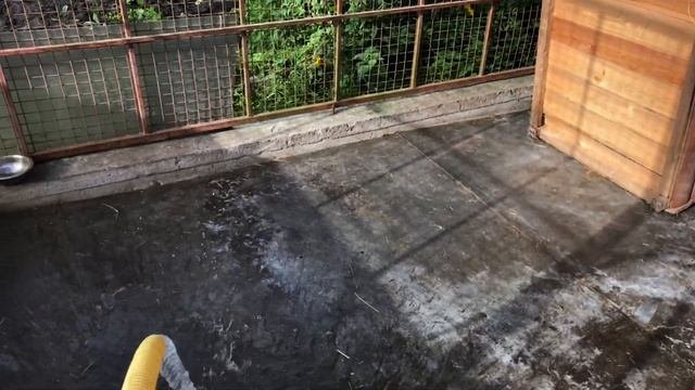 КАК проходит уборка вольера АЛАБАЯ || Вольер и будка собаки уход || АЛАБАЙ и вольер