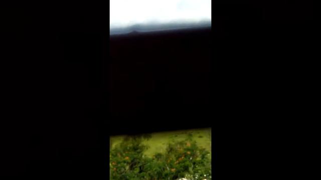 Salarpuria Gardenia Vlog 1 by 8 year old child