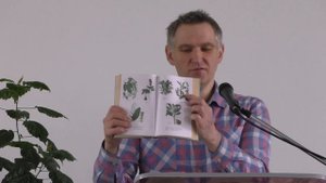 Минутка здоровья. Какие травы лечат печень. Шлоков Сергей