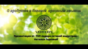 О продукте и бизнесе Вертеры простым языком