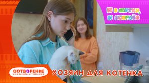 Хозяин для котенка