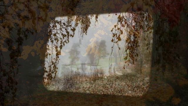 Листья березы. #осень#березы#осенyиелистья#листьяберёзы#Гнатюк# смотреть онлайн