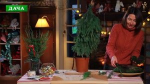 ЕЛКА из веток своими руками//новогодний мастер-класс// ? NEW YEAR TREE TUTORIAL