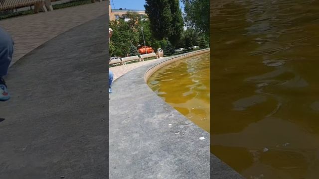 Прогулка с детьми.