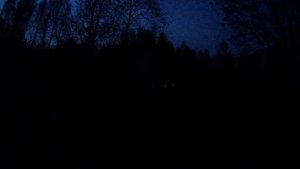 Коллиматорный прицел Pilad P1X42