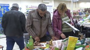Картофель семенной Весна 20152