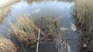 Рыбалка на озере Уелги. Сумасшедший клев на поплавок.