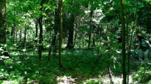 Беги Плинтус, беги!!.mov