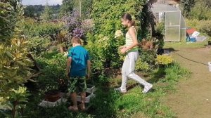 Любимые внуки-мои помощники...