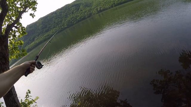 Кучелиновское водохранилище. Первая пойманная рыба дочки. Ловим гольянов.
