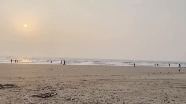 Exploring cafes of Morjim beach goa 2023 #sazegoa #thalassa  #dailyvlog #goabeach #trend