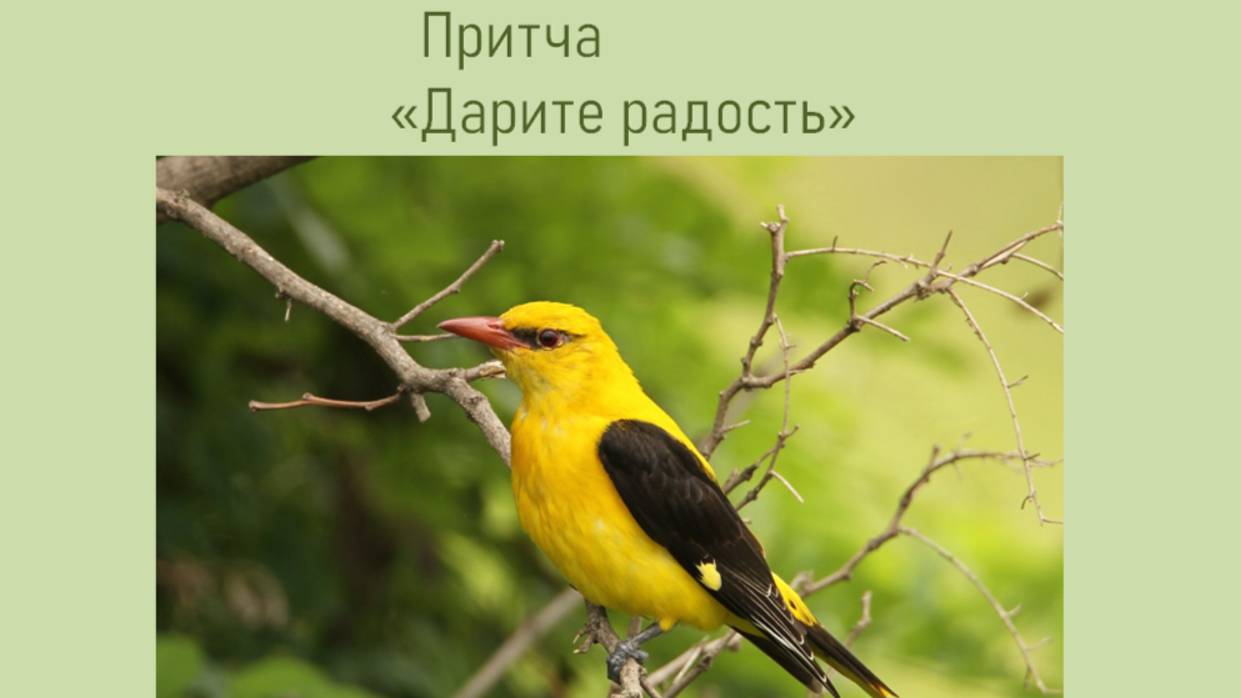 Детская притча "Дарите радость"