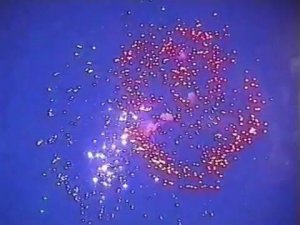 Салют 9 мая в Москве на Воробьевых горах, 2000 год