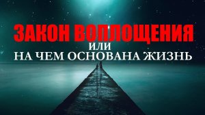 ЗАКОН ВОПЛОЩЕНИЯ ИЛИ НА ЧЕМ ОСНОВАНА НАША ЖИЗНЬ