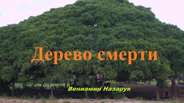 Проповедь - Дерево смерти.. (Вениамин Назарук)