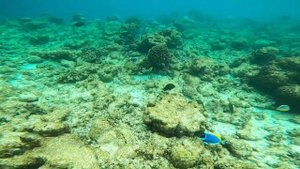 Dusit Thani Maldives 2022