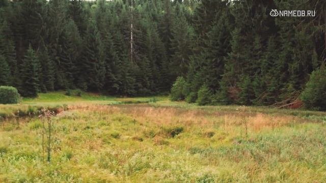 Совместимость Дев со всеми знаками Зодиака