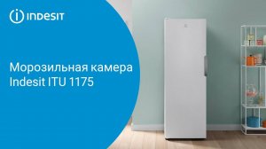 Морозильная камера Indesit ITU 1175 - обзор модели