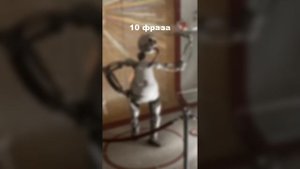 Все фразы рафика