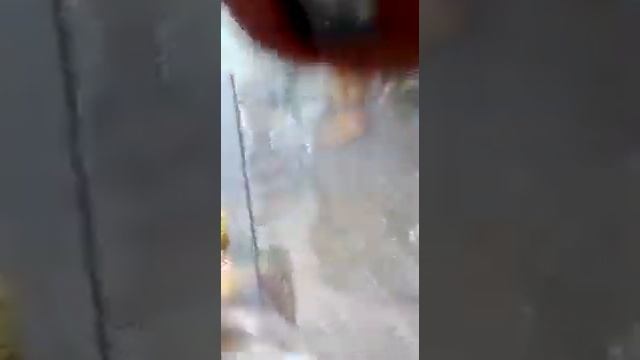 Проверка в пятёрочке!! Можно ли кататься на самокате в магазине ??