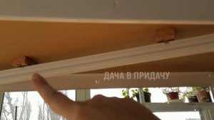 Теплица в квартире. Мой огород на окне.