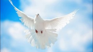 ОЧЕНЬ КРАСИВОЕ ПОЗДРАВЛЕНИЕ С ПРАЗДНИКОМ ТРОИЦЫ! ТРОИЦА! Христианский стих. МСЦ ЕХБ