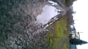 Дорога в Миролюбово Курская область Фатежский район часть 2