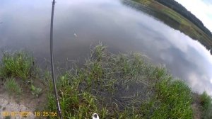 Рыбалка в Свердловской области у деревни Реши 03 07 2021, третий день
