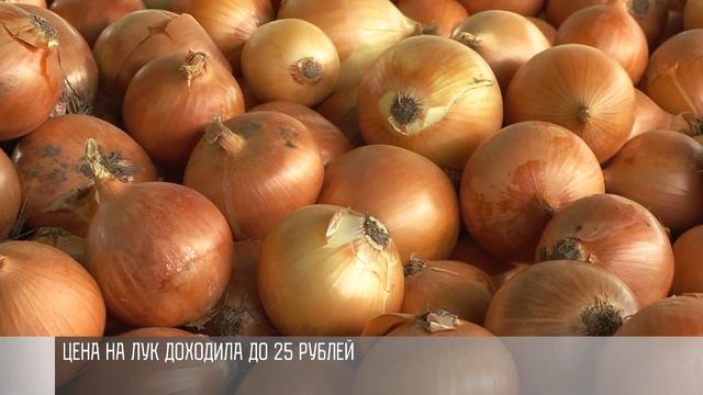 Лук будет дешевле? смотреть онлайн