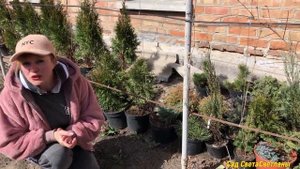 Начало ! Новый цветник! Растения для нового ЦВЕТНИКА ! Чудеса Бывают! Главное в жизни -ЛЮДИ!