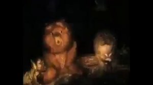 "Ёжик в тумане" - монолог Мишки о мироздании