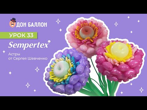 Урок 33. Астра от художника по воздушным шарам Сергея Шевченко. смотреть онлайн