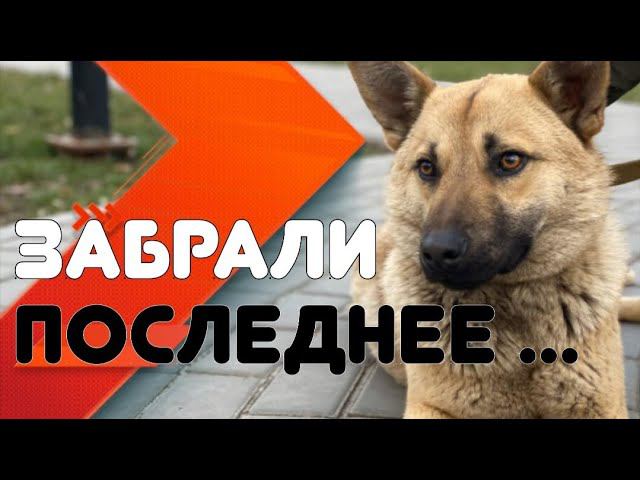 У бездомного Гарика отняли последнее...