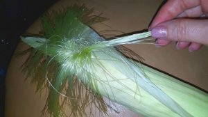Как варить кукурузу, чтоб она была очень вкусной.