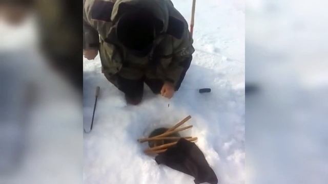 Трофейные щуки озера Арахлей от друзей канала!!! смотреть онлайн