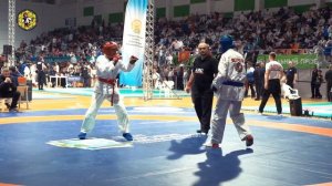 Чемпионат и первенство мира по АРБ УФА 2023