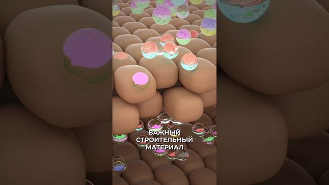 ИНЪЕКЦИОННЫЕ ПРОЦЕДУРЫ