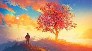 Peder B. Helland - Rose Petals