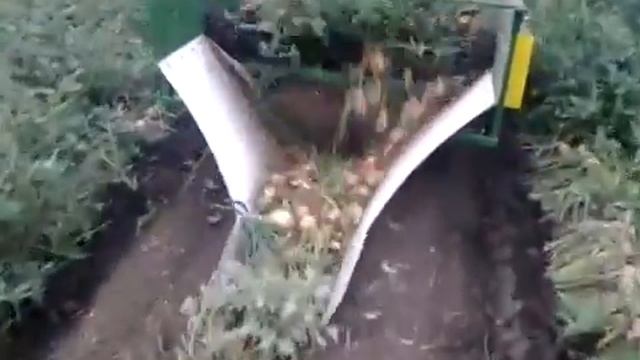 Копатель луковый КЛ-10