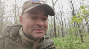 мечты сбываются?