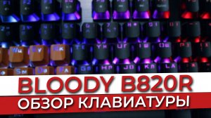 BLOODY B820R Обзор. Клавиатуры для макросов.