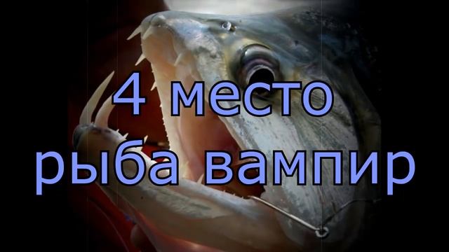 Топ самых жутких ртов у животныху рыбы рот как у человека!