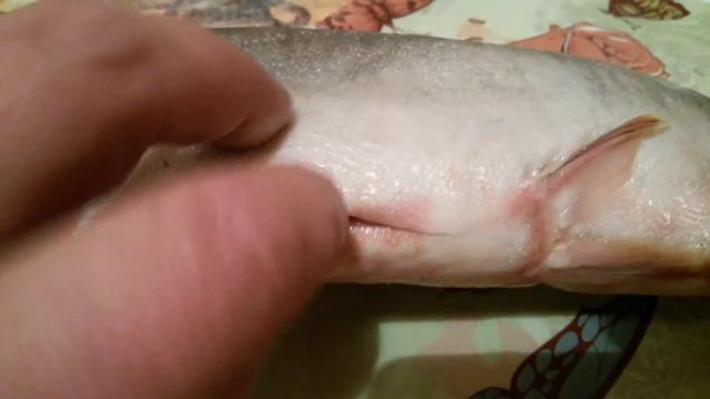 ИКРА смотреть онлайн