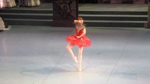 Оксана Бондарева Китри, 3 Акт "Дон-Кихот"