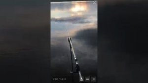 Река Томь Кемерово, ловля Язя/River Tom Kemerovo, catching Ide