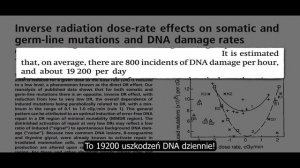 Owoce i warzywa chroniące DNA - dr Michael Greger