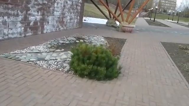 Центр реабилитации г.Омск обзор по санаторию. смотреть онлайн