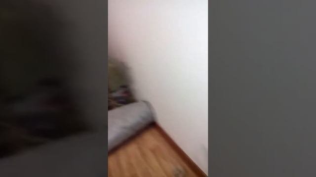 Измерение вибраций с кафе убийце после 22:30 в смежной жилой квартире сотрудниками сэс, прошу комме
