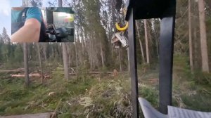 Работа Харвестера #харвестерФорвардер