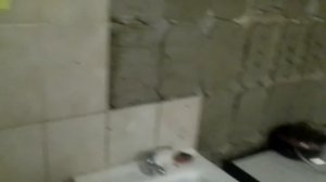 Тараканник в шестом общежитии МГТУ им. Баумана